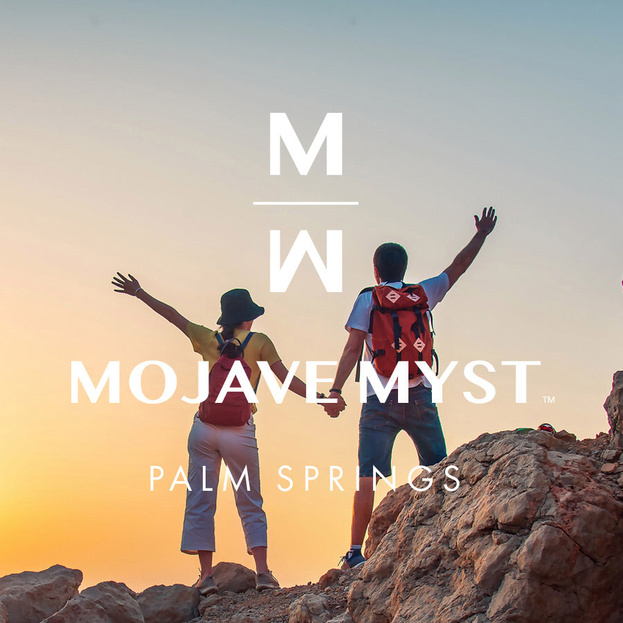 A couple holds hands and extends their free hands into the air. They are standing on desert rocks and a big sky is behind them. Text on image: MM icon, Mojave Myst Palm Springs