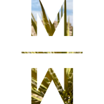 The Mojave Myst MM icon with Yucca leaves coloring in its letter shapes.